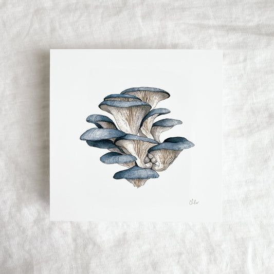 Blue Oyster Mushrooms