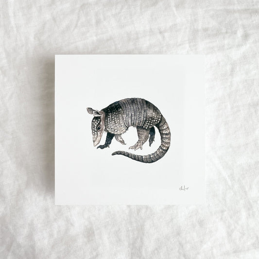 Armadillo