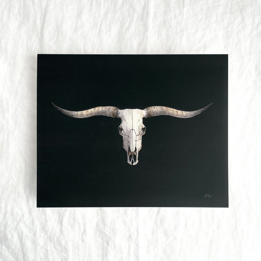 Texas Longhorn Skull