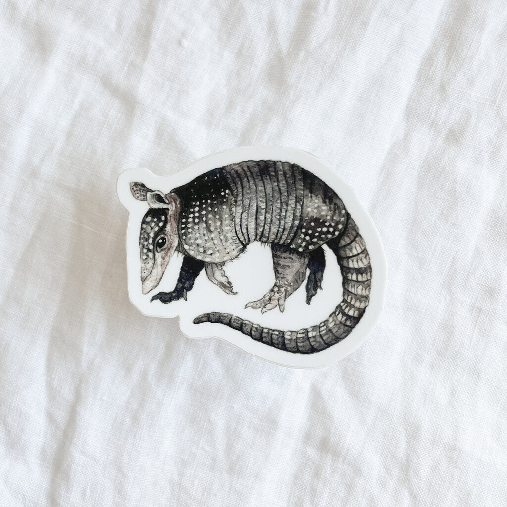 Armadillo Sticker
