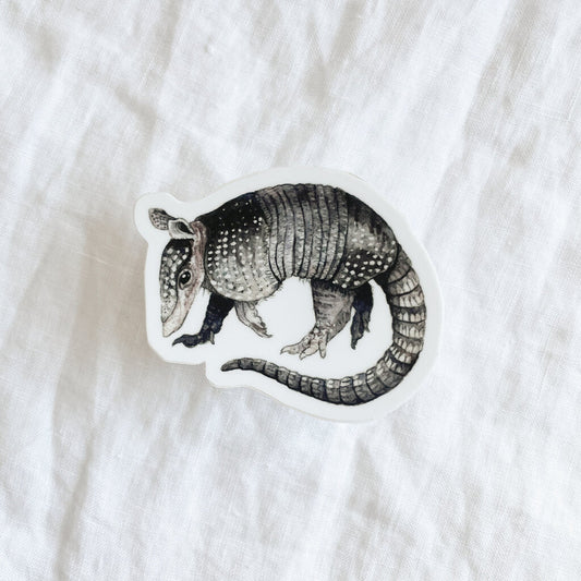 Armadillo Sticker