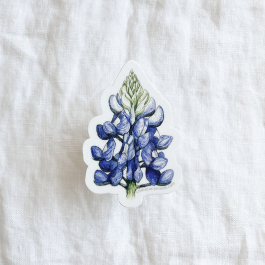 Bluebonnet Sticker