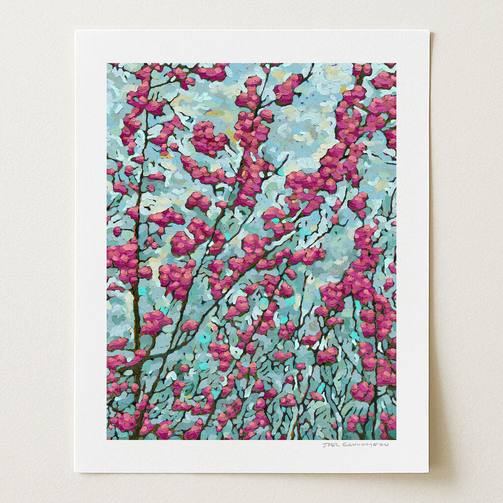 Blooming Red Bud