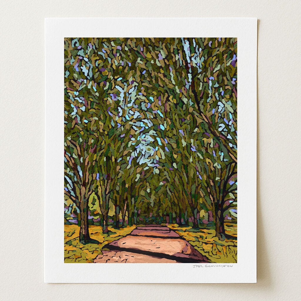 Tree Lined Drive